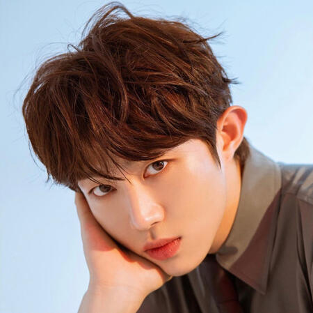 choi seokwon